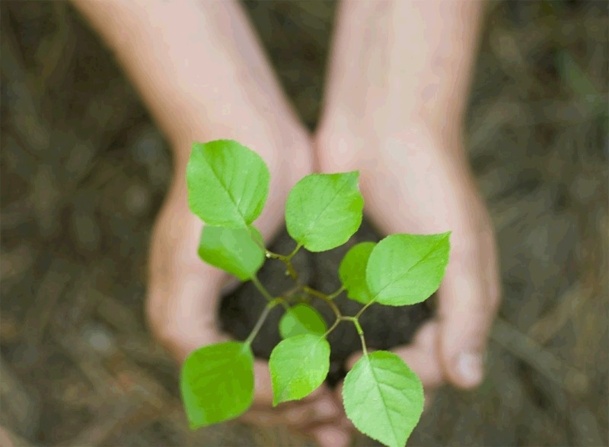 Les experts nous disent que pour être rentable les biocarburants devraient couvrir entre 20 à 30% des besoins de la flotte mondiale, dans 30 ou 40 ans, avec des coûts se rapprochant de celui du kérosène - Photo Fotolia