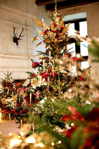 Domaine National de Chambord © Olivier Marchant Domaine National de Chambord © Olivier Marchant