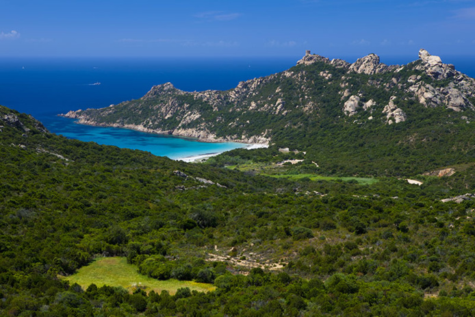 Lion de Roccapina © iStock - Wild-Places