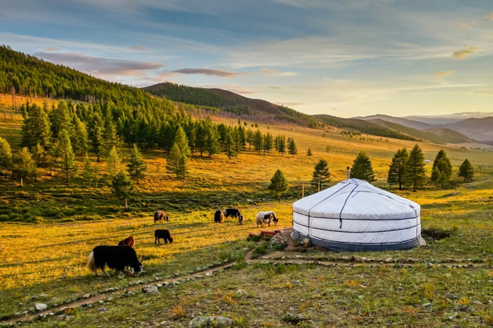 Ouverture des frontières et présentation du e-Visa Mongolie © Adobe Stock