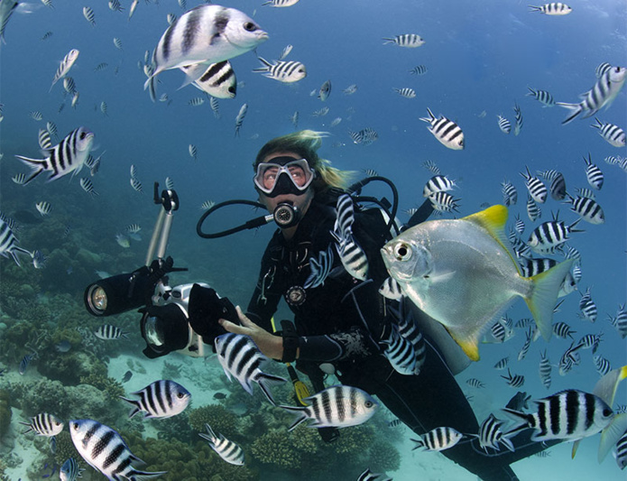 © Imran Ahmad © Imran Ahmad