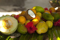 © Joey Nicles Modeste © Joey Nicles Modeste