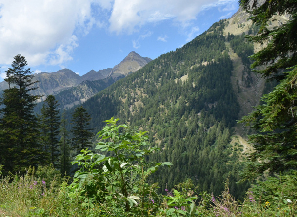 Les gîtes et cabanes perchées du Boréon sont situés à 1 600m d’altitude et conçus pour accueillir 4 personnes maximum - DR