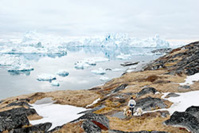 Festival photo La Gacilly © Tina Itkonen Festival photo La Gacilly © Tina Itkonen