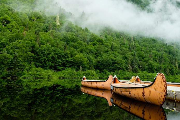 La Collection Feel Good de Terra Group :  y'a pas de mal à se faire du bien La Collection Feel Good de Terra Group :  y'a pas de mal à se faire du bien