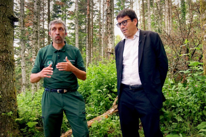 VINCI Airports a annoncé la création du premier puits carbone forestier des aéroports de Lyon, en partenariat avec le département du Rhône et l’ONF - DR : mathieu.pheng VINCI Airports a annoncé la création du premier puits carbone forestier des aéroports de Lyon, en partenariat avec le département du Rhône et l’ONF - DR : mathieu.pheng