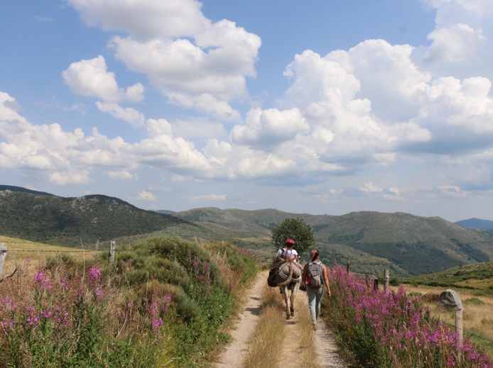 Le parc des Cévennes ne compte que 600 habitants dans son cœur de 93 500 ha. Il est possible d'y cheminer, tel Stevenson, avec un âne - DR : J.-F.R.