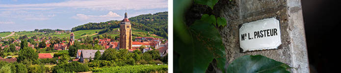 Poligny Village © Alain Doire BFCT - Louis Pasteur © Michel Joly BFCT