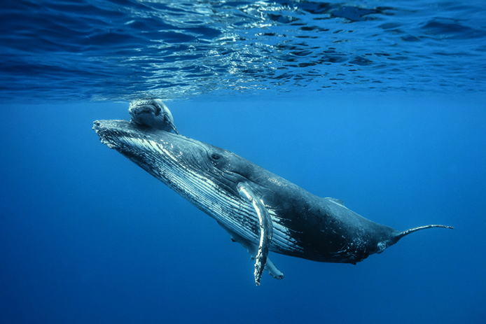 © IRT/Eric Lamblin © IRT/Eric Lamblin