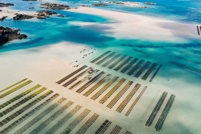 Le docu Immersion sur le département de la Manche est disponible en vidéo à la demande - DR Le docu Immersion sur le département de la Manche est disponible en vidéo à la demande - DR