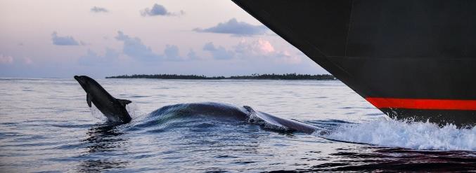 Cette année, un nouvel indicateur a été pris en compte : le recyclage des navires pour lequel Ponant a obtenu un score de 5/5 - DR : Ponant Cette année, un nouvel indicateur a été pris en compte : le recyclage des navires pour lequel Ponant a obtenu un score de 5/5 - DR : Ponant
