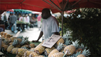 ©IRT/Miles and Love – Marché Forain