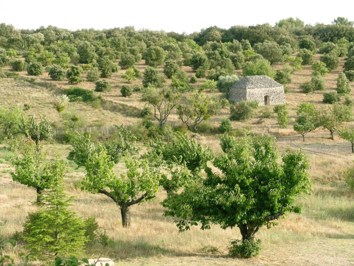 Avec le Luberon, c’est simple : plus on s’éloigne de la vallée du Rhône et de la gare TGV d’Avignon, plus le territoire reprend des accents d’authenticité - DR : J.-F.R.