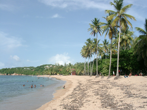 L'année 2013 va se poursuivre par un sacré défi, celui de soutenir les vols de XL Airways sur ses destinations en phase de démarrage que sont la Guadeloupe et la Martinique et la Réunion, ainsi que sur la République Dominicaine - DR : JDL