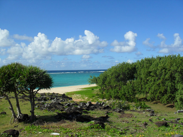 Avec La Réunion, l'île Maurice sera la nouvelle destination hiver de Top Of Travel - DR : JDL