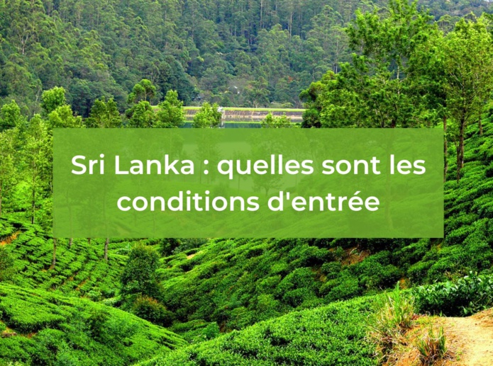 Voyage Sri Lanka : quelles sont les formalités à remplir ? - Depositphotos.com Voyage Sri Lanka : quelles sont les formalités à remplir ? - Depositphotos.com