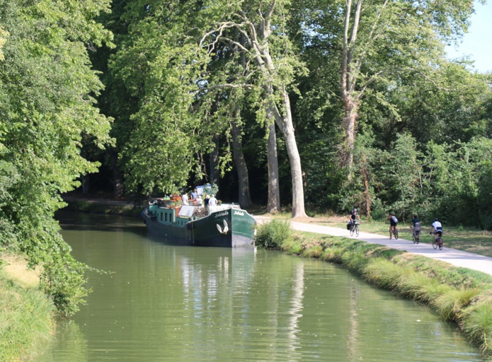 Le tronçon Toulouse - Port Lauragais est encore entièrement recouvert de son tunnel de verdure, il n’est donc pas question de bouder son plaisir - DR : J.-F.R.