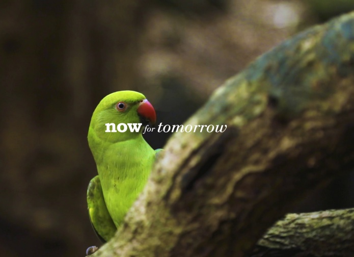 Le programme Now for tomorrow comprend cinq domaines d’actions : transition énergétique, économie circulaire, protection de la biodiversité, des communautés vivantes et intégrées, et développement inclusif - DR : VLH Le programme Now for tomorrow comprend cinq domaines d’actions : transition énergétique, économie circulaire, protection de la biodiversité, des communautés vivantes et intégrées, et développement inclusif - DR : VLH