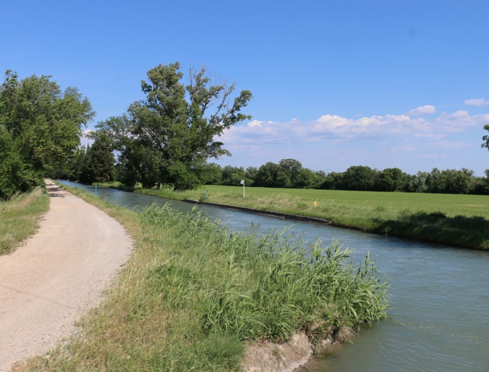 Les agriculteurs cultivent la partie irriguée de la Crau, transformée dès le 16e siècle grâce à un ingénieux système de canaux - DR : J.-F.R. Les agriculteurs cultivent la partie irriguée de la Crau, transformée dès le 16e siècle grâce à un ingénieux système de canaux - DR : J.-F.R.