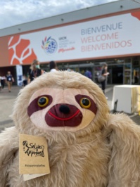 Le Costa Rica assure la promotion de la campagne “Stop Animal Seflies” - DR