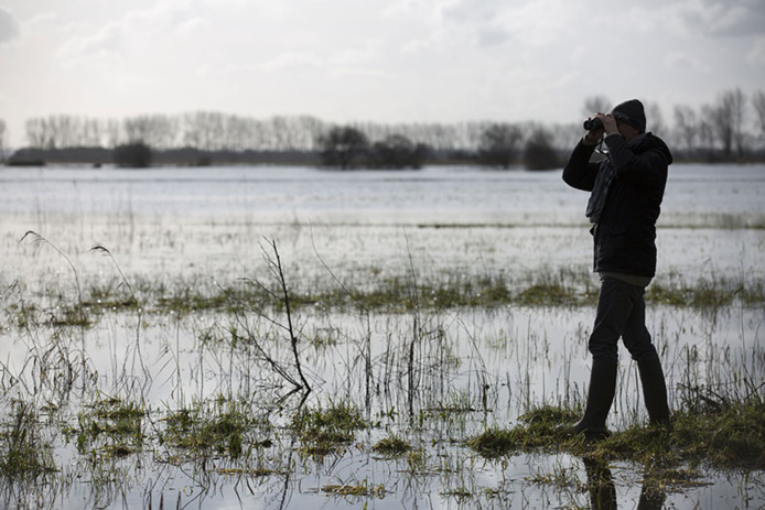 Parc naturel régional des Marais du Cotentin et du Bessin - Observation des marais blancs © Guillaume Hedouin Parc naturel régional des Marais du Cotentin et du Bessin - Observation des marais blancs © Guillaume Hedouin