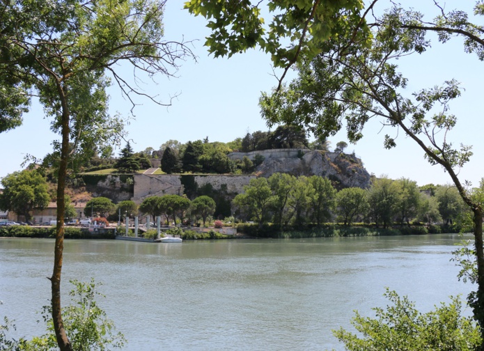 A Avignon, l'île de la Barthelasse permet une escapade loin du tumulte de la ville. A découvrir à deux roues ! - Photo JFR