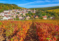 Pernand Vergeless  © Alain Doire - BFC Tourisme