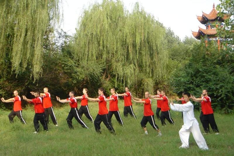 Basée sur des mouvements simples, souples et lents, cette gymnastique traditionnelle chinoise peut être pratiquée à tout âge et ne demande aucun prè-requis pour débuter.©Terre Chinoise Basée sur des mouvements simples, souples et lents, cette gymnastique traditionnelle chinoise peut être pratiquée à tout âge et ne demande aucun prè-requis pour débuter.©Terre Chinoise