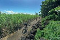 © Beachcomber Resorts & Hotels © Beachcomber Resorts & Hotels