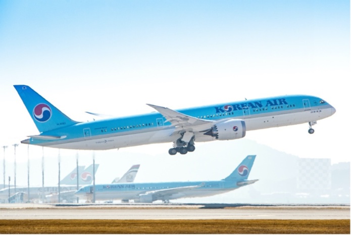 La nouvelle compagnie consolidée formera une flotte de 248 appareils et 128 options, créant la 10e compagnie aérienne mondiale par sa flotte d’appareils pré-covid - DR : Korean Air