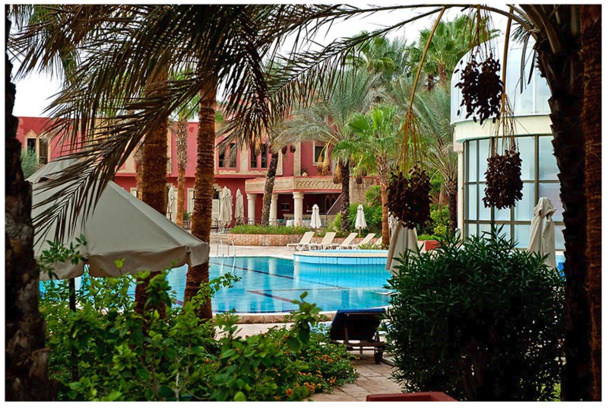 Le groupe hôtelier Palm Beach s'apprête à ouvrir un 2e établissement à Tozeur, avec un tout nouveau concept - DR : Palm Beach