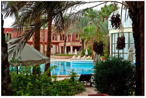 Le groupe hôtelier Palm Beach s'apprête à ouvrir un 2e établissement à Tozeur, avec un tout nouveau concept - DR : Palm Beach Le groupe hôtelier Palm Beach s'apprête à ouvrir un 2e établissement à Tozeur, avec un tout nouveau concept - DR : Palm Beach