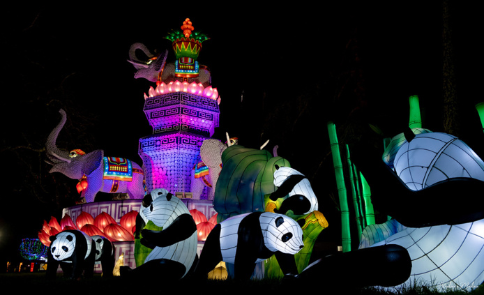 Festival des Lanternes © Ville de Gaillac