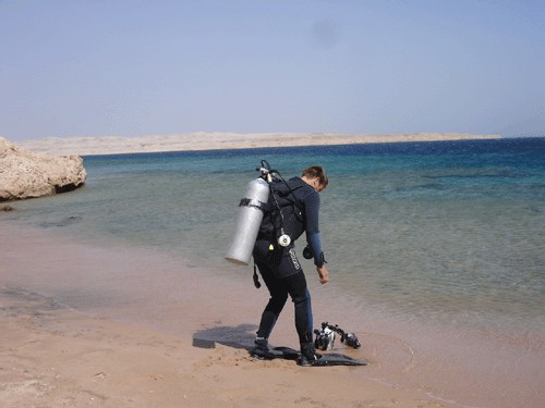 Plus besoin de bateau, les récifs sont à portée de palmes depuis la plage