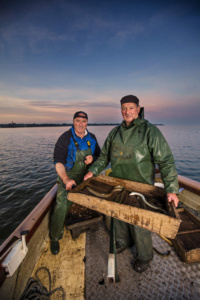 Lough Neagh Eels