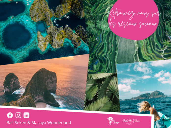 L'importance des réseaux sociaux pour un DMC L'importance des réseaux sociaux pour un DMC