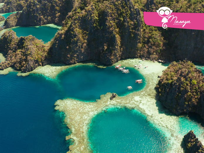 L'importance des réseaux sociaux pour un DMC L'importance des réseaux sociaux pour un DMC