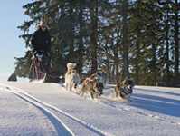 @ Sophie Tissot et Thomas Carrage - sentiers Nordiques - BFC @ Sophie Tissot et Thomas Carrage - sentiers Nordiques - BFC