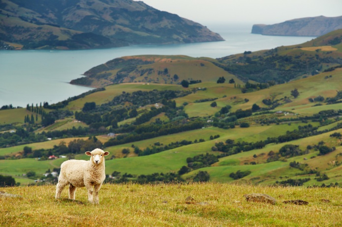 La Nouvelle-Zélande a annoncé la réouverture de ses frontières aux voyageurs vaccinés à partir du 30 avril 2021 - Depositphotos.com Auteur muha04 La Nouvelle-Zélande a annoncé la réouverture de ses frontières aux voyageurs vaccinés à partir du 30 avril 2021 - Depositphotos.com Auteur muha04