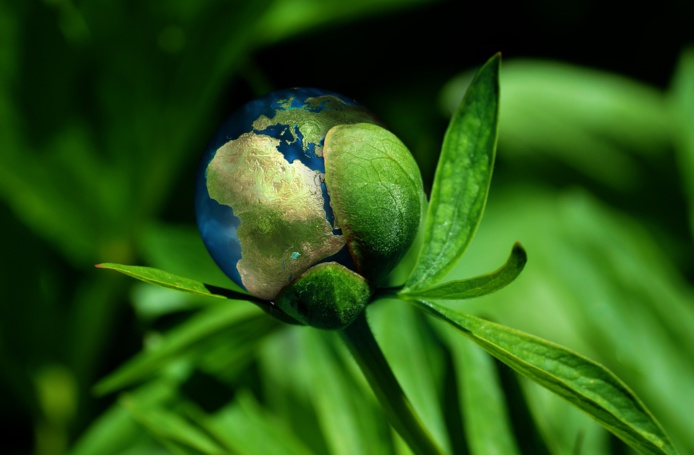 En transformant le système énergétique actuel, la transition écologique permet de diminuer son impact environnemental - DR Pixabay