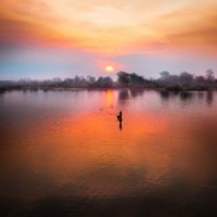 © Simon Berger - Unsplash