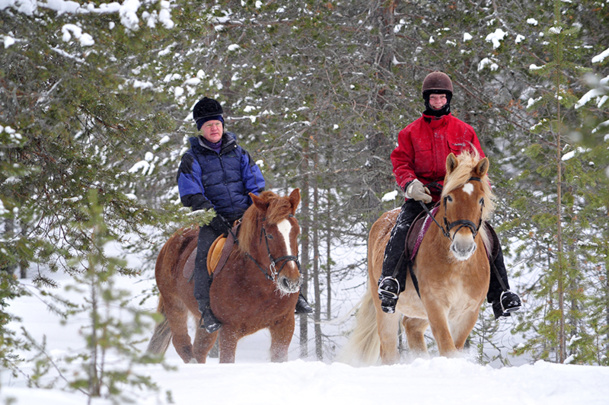 Une des sorties se pratique de nuit, après le dîner, dans le but d’apercevoir une aurore boréale - DR : Cheval d'Aventure