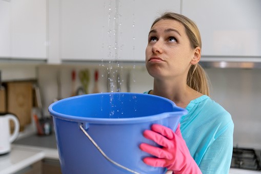 Un dégât des eaux ? Un stock à déplacer ? - DR Pixabay
