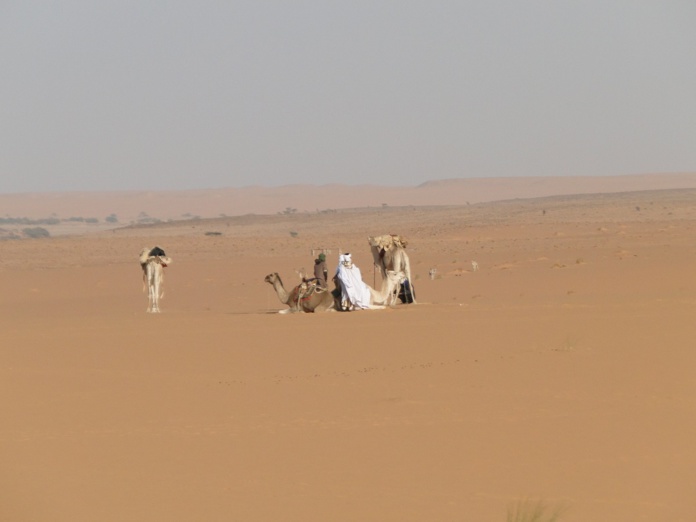 La Mauritanie, ce pays où l’on peut vivre, entre autres, l’expérience grandiose du Sahara, désert mythique, surprenant et envoutant. - DR CH