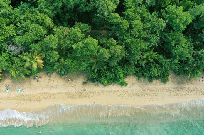 Les touristes sont de retour en Guadeloupe et en Martinique depuis fin décembre, mais les professionnels du tourisme surveillent attentivement l'évolution de la situation sanitaire et les mesures qui pourraient se durcir - DR : DepositPhotos.com, Mirmoor