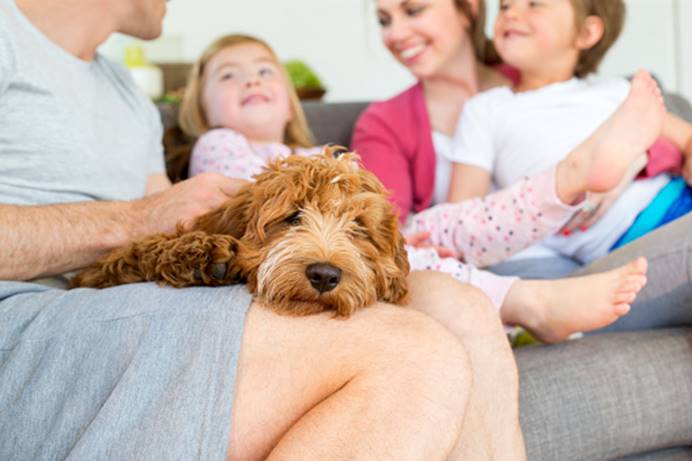 Selon Abritel, 5 tendances sont à retenir en 2022 pour les familles françaises en vacances - DR