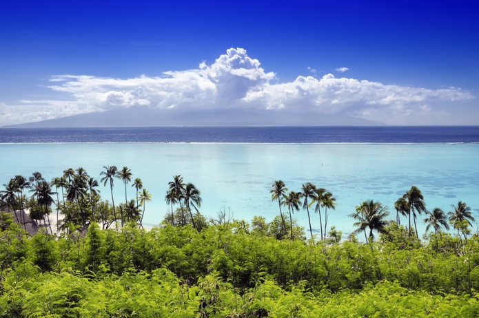 Polynésie : "Avec les reports des deux étés précédents et la réduction drastique des capacités hôtelières, nous sommes déjà extrêmement chargés" notamment sur Moorea avec la fermeture de l'Intercontinental Depositphotos.com Auteur PBphotos