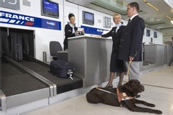 Air France : le programme Saphir étenudu à 17 nouveaux pays Air France : le programme Saphir étenudu à 17 nouveaux pays