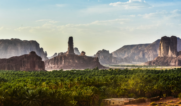 Ce jeudi 27 janvier 2022, un inédit vol décolle de Paris-Charles de Gaulle direction l’oasis du nord-ouest de l’Arabie Saoudite. Il s’agit du premier vol international régulier se posant à Al Ula - L'oasis d'Al Ula ©&nbsp;DR