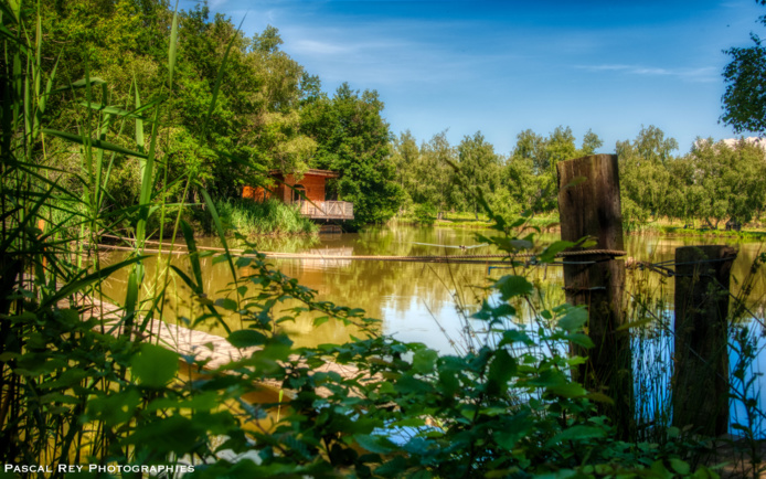 Cinq cabanes en bois construites en bord d'étang (©Pascal Rey)